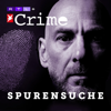 Cover: stern Crime - Spurensuche