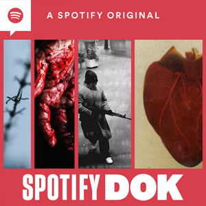 Cover: Spotify Dok