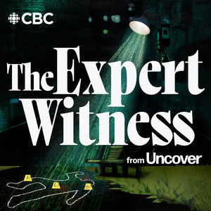 Cover: The Expert Witness from Uncover