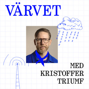 Cover: Värvet