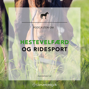 Cover: Uanvendelig eller Ridehest