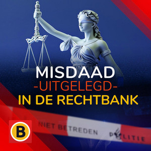 Cover: Misdaad Uitgelegd - in de rechtbank