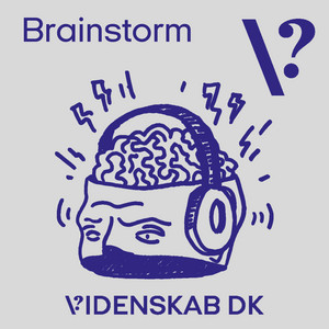 Cover: Brainstorm