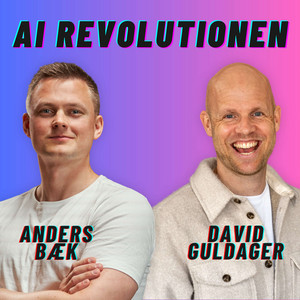 Cover: AI Revolutionen