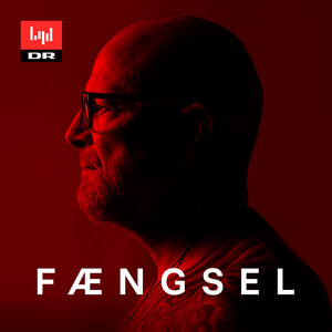Cover: Fængsel