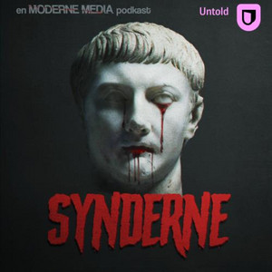 Cover: Synderne