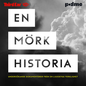 Cover: En mörk historia