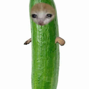 Cover: I JS SHOVED A CUCUMBER UP MY BADUSSY 🫩🫩🫩✌️✌️