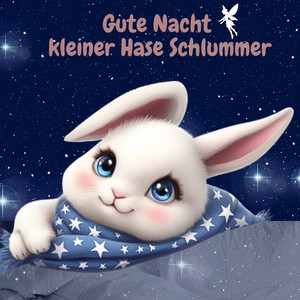 Cover: Gute Nacht Geschichten zum Einschlafen - Hase Schlummer 