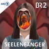 Cover: Seelenfänger