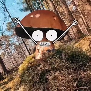 Cover: Meha Meha Meha - Plankton