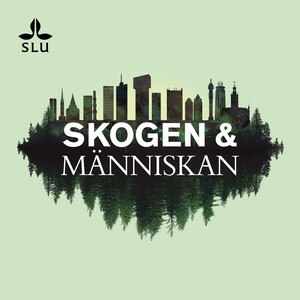 Cover: Skogen & Människan