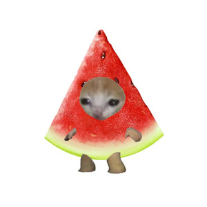 Cover: I JS SHOVED A WATERMELON UP MY BADUSSY 🫩🫩🫩🫩✌️✌️✌️✌️