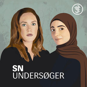 Cover: SN Undersøger