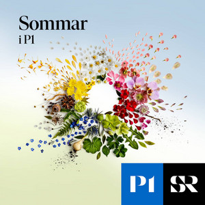 Cover: Sommar & Vinter i P1