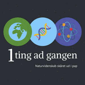 Cover: 1 ting ad gangen - Naturvidenskab skåret ud i pap