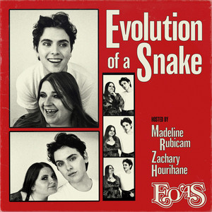 Cover: Evolution of a Snake: The Taylor Swift Fan Podcast