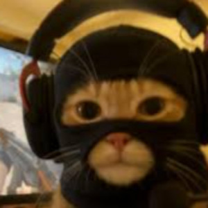 Cover: Crazy Cat