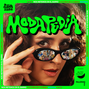 Cover: Modapedia