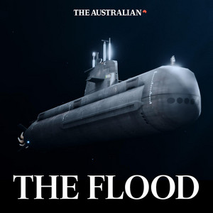 Cover: The Flood