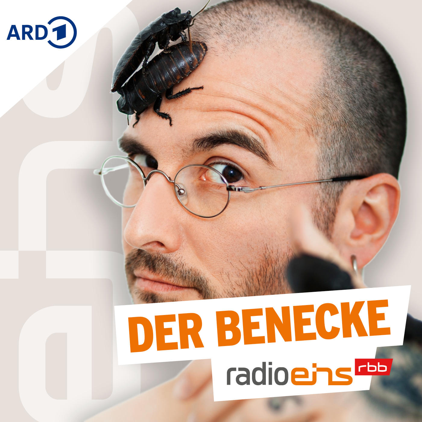 Cover: Der Benecke