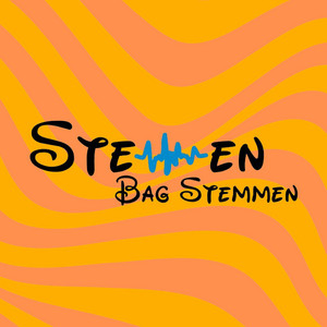 Cover: Stemmen bag Stemmen