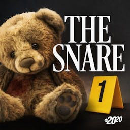 Cover: The Snare