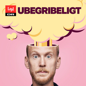 Cover: Ubegribeligt