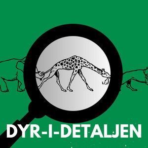 Cover: Dyr i Detaljen