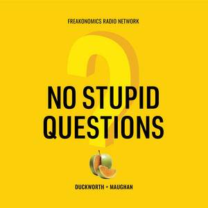 Cover: No Stupid Questions