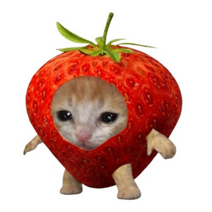 Cover: I JS SHOVED A STRAWBERRY UP MY BADUSSY 🫩🫩🫩🫩🫩🫩✌️✌️✌️✌️✌️✌️