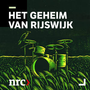 Cover: Het geheim van Rijswijk