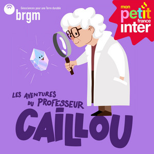 Cover: Les aventures du professeur Caillou