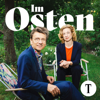 Cover: Im Osten - wo Deutschland sich entscheidet