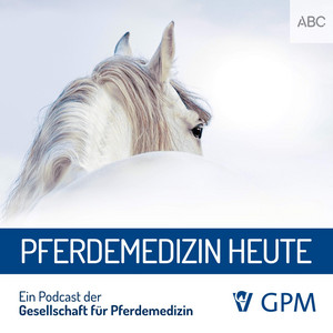 Cover: Pferdemedizin heute