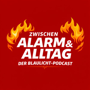 Cover: Zwischen Alarm und Alltag