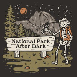 Cover: National Park After Dark