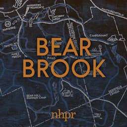 Cover: Bear Brook