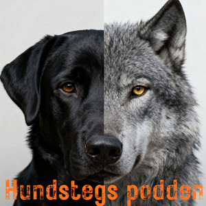 Cover: Hundstegs podden