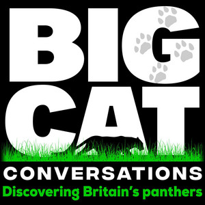 Cover: Big Cat Conversations