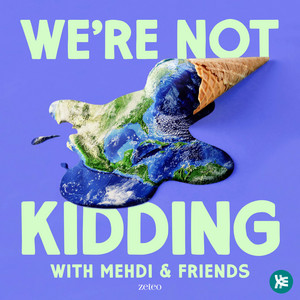Cover: We're Not Kidding with Mehdi & Friends