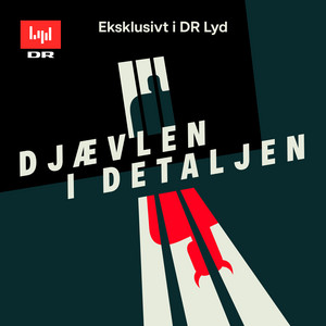 Cover: Djævlen i detaljen