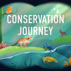 Cover: Conservation Journey