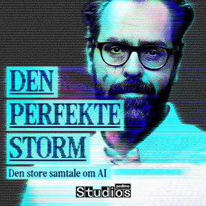 Cover: Den Perfekte Storm - Den store samtale om AI