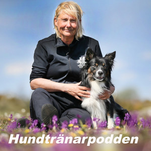 Cover: Hundtränarpodden