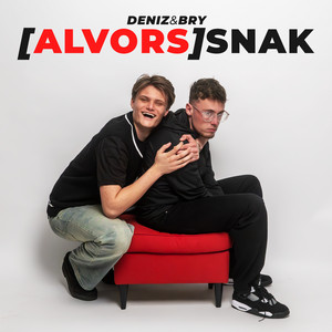 Cover: (ALVORS)SNAK