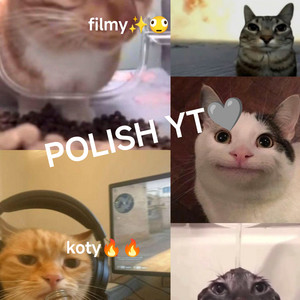 Cover: Polish YT🩶