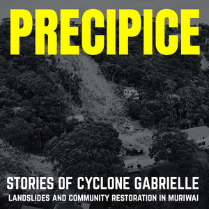 Cover: Precipice
