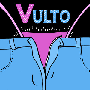 Cover: Vulto