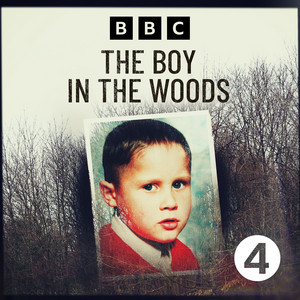 Cover: The Boy in the Woods